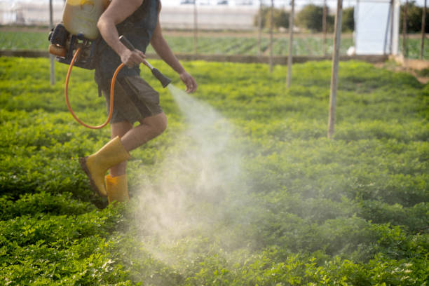 Best Exterminator Services  in Hauula, HI